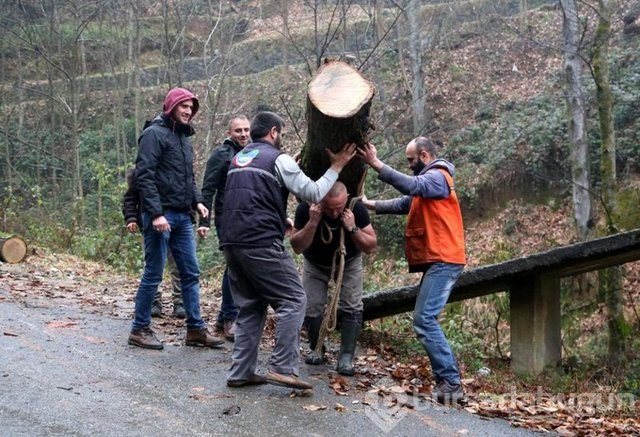 283 Kilo kütüğü sırtında taşıdı