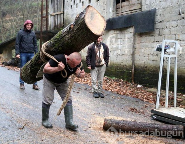 283 Kilo kütüğü sırtında taşıdı