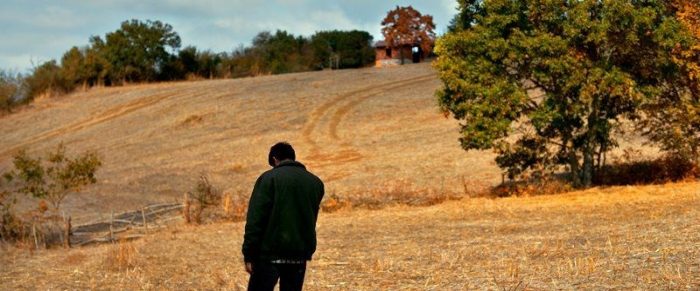 Nuri Bilge Ceylan'ın Ahlat Ağacı Türkiye'nin Yabancı Dilde Oscar adayı