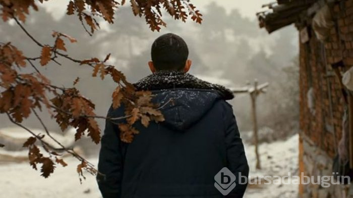 Nuri Bilge Ceylan'ın Ahlat Ağacı Türkiye'nin Yabancı Dilde Oscar adayı