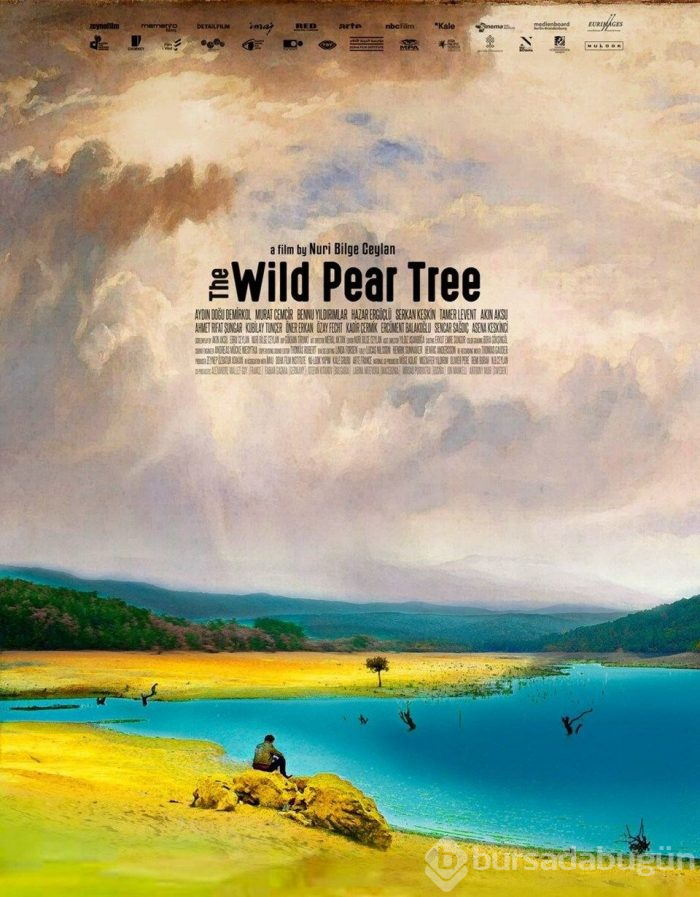 Nuri Bilge Ceylan'ın Ahlat Ağacı Türkiye'nin Yabancı Dilde Oscar adayı