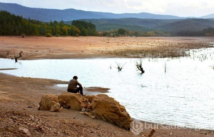 Nuri Bilge Ceylan'ın Ahlat Ağacı Türkiye'nin Yabancı Dilde Oscar adayı