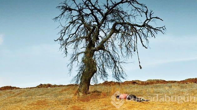 Nuri Bilge Ceylan'ın Ahlat Ağacı Türkiye'nin Yabancı Dilde Oscar adayı