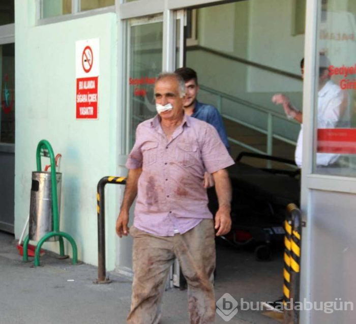 Acemi kasaplar hastanelik oldu
