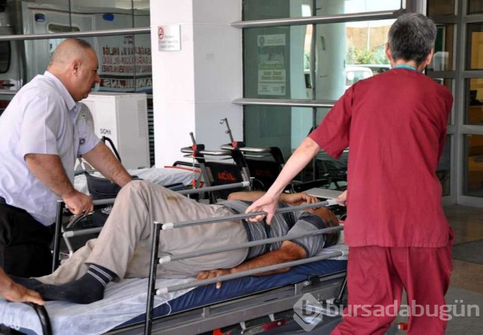 Acemi kasaplar hastanelik oldu