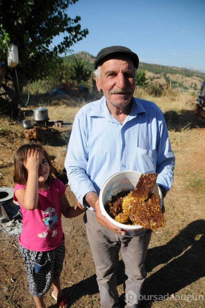 40 yıldır ağaçları dinliyor! Kilosunu 500 TL'ye satıyor
