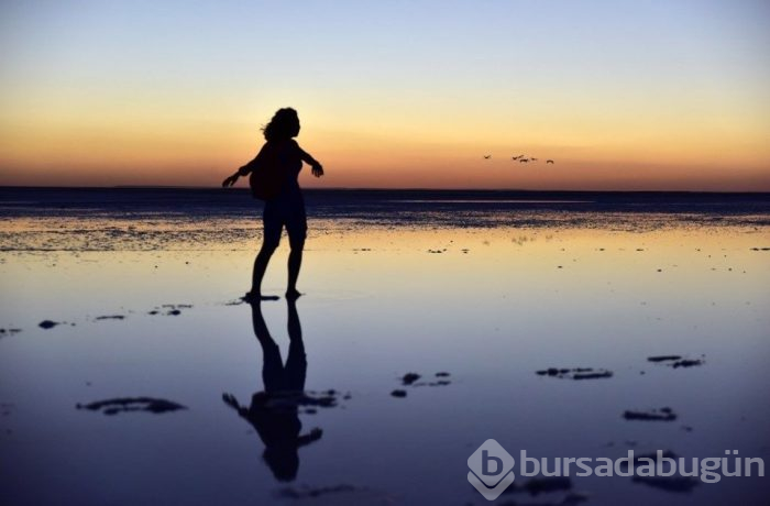 Flamingo cenneti Tuz Gölü'ne turist akını