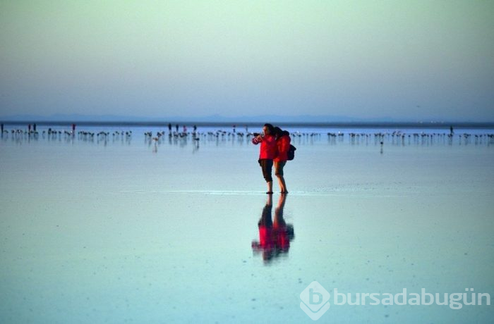 Flamingo cenneti Tuz Gölü'ne turist akını