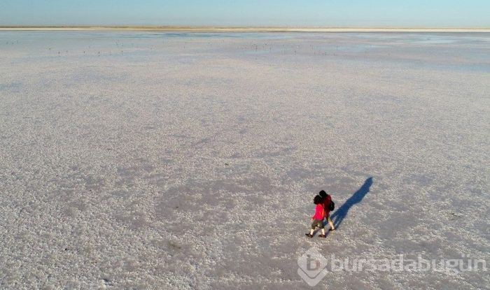 Flamingo cenneti Tuz Gölü'ne turist akını
