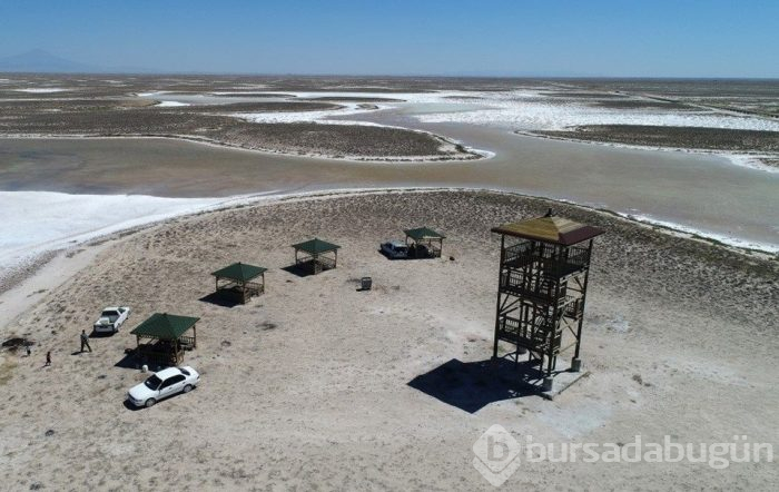 Flamingo cenneti Tuz Gölü'ne turist akını