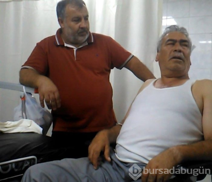 Onlar kaçtı sahipleri kovaladı