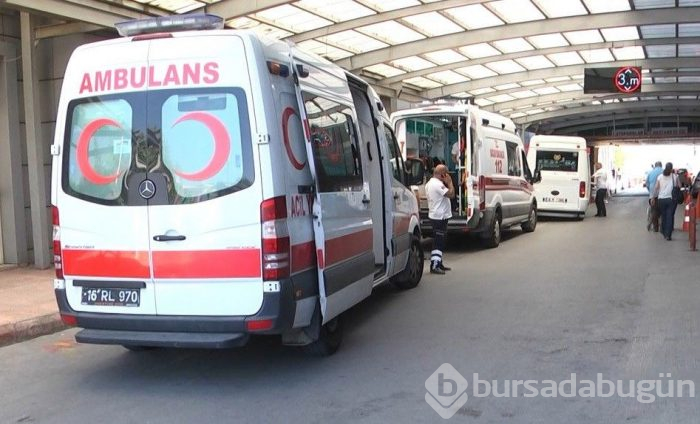 Onlar kaçtı sahipleri kovaladı