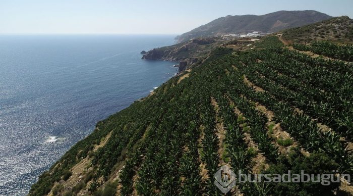 Antalya Gazipaşa'nın cennet koyları keşfedilmeyi bekliyor