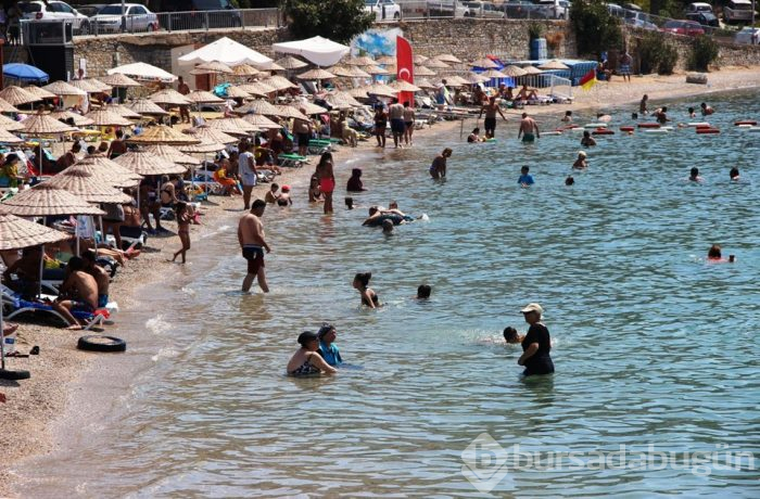 Bodrum'a 330 bin araç, 264 özel jet ve 1955 uçakla geldiler