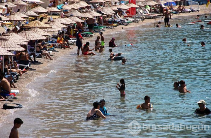 Bodrum'a 330 bin araç, 264 özel jet ve 1955 uçakla geldiler
