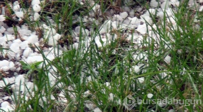 Kütahya'da fındık büyüklüğünde dolu yağdı