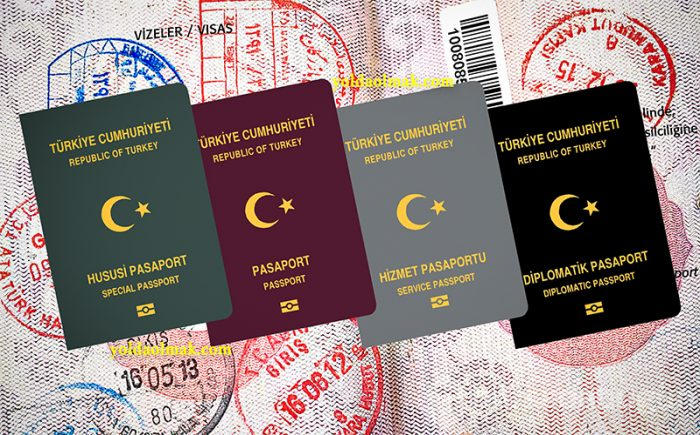 Hangi renk pasaport kimlere verilir?