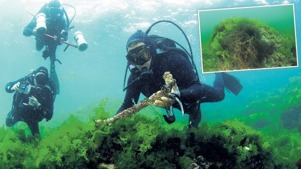İstanbul'un kayıp adası Vordonisi