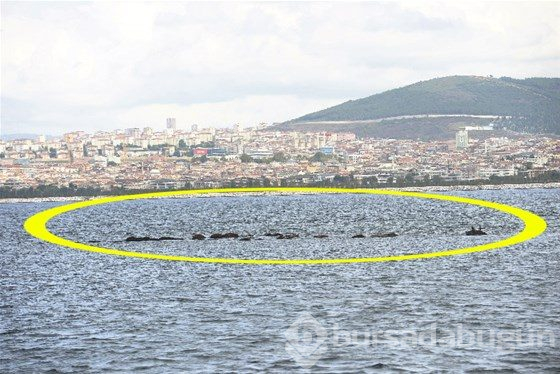 İstanbul'un kayıp adası Vordonisi