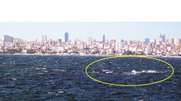 İstanbul'un kayıp adası Vordonisi