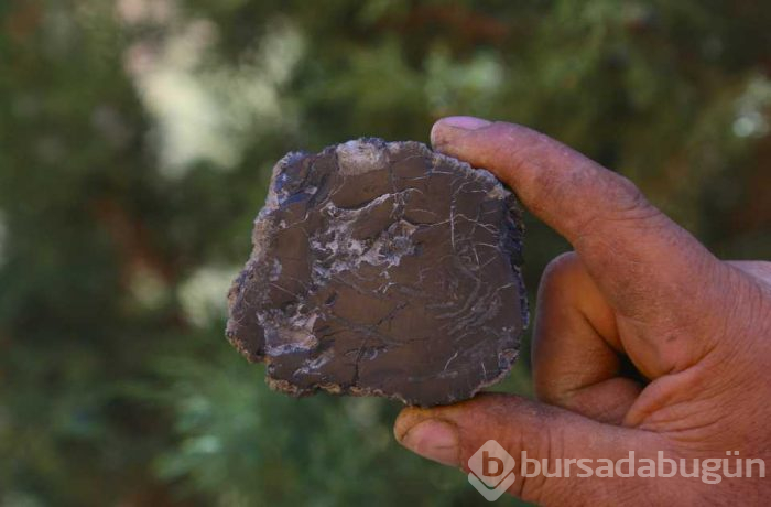 Yıllardır yaktıkları şey bakın ne çıktı