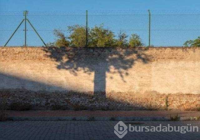 Muhteşem zamanlama ile çekilen fotoğraflar