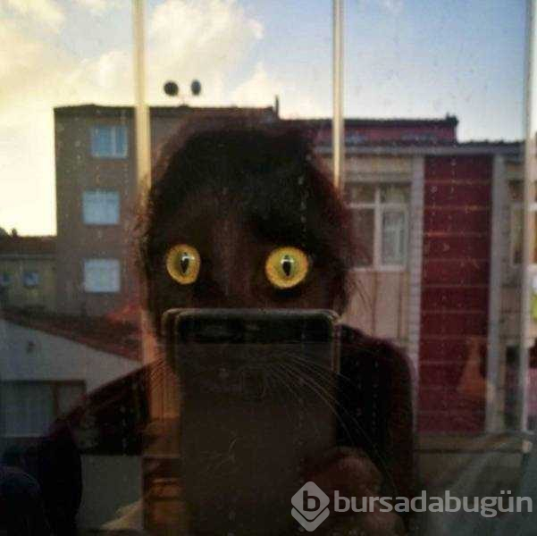 Muhteşem zamanlama ile çekilen fotoğraflar