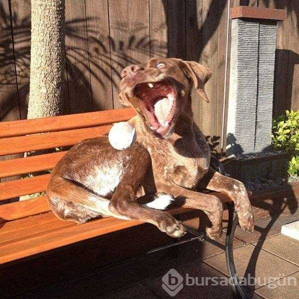 Muhteşem zamanlama ile çekilen fotoğraflar