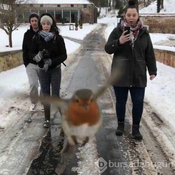 Muhteşem zamanlama ile çekilen fotoğraflar