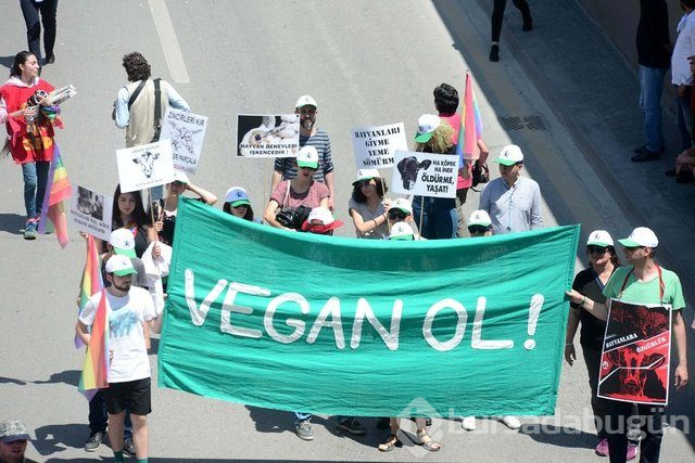 1 Mayıs Emek ve Dayanışma Günü