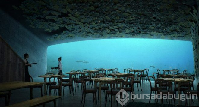 Avrupa'nın ilk su altı restoranı: Under
