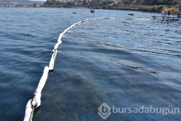 Foça sahili petrole bulandı