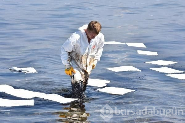 Foça sahili petrole bulandı