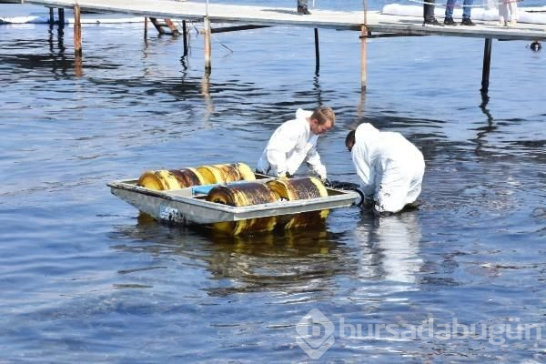 Foça sahili petrole bulandı