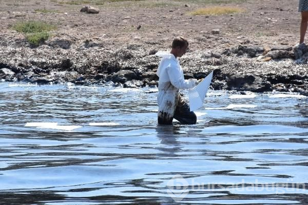 Foça sahili petrole bulandı