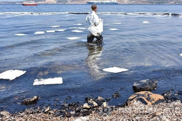 Foça sahili petrole bulandı