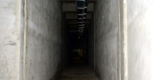 Timsah Arena'nın yapımı son hız devam ediyor