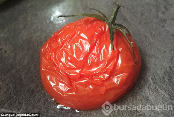 Donmuş domates çözülünce ne olur?