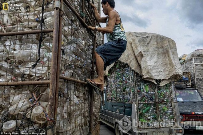 Plastiğin yıkıcı etkileri...