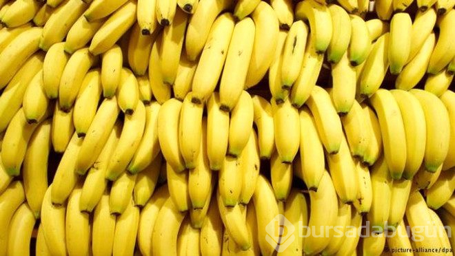 Kutsal kitabımızda adı geçen 12 yiyecek ve faydaları