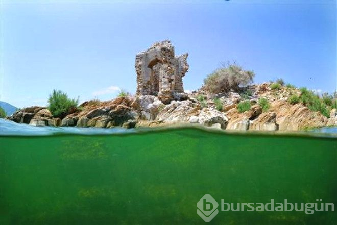 Bafra gölünün su altı zenginliği
