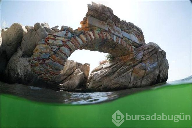 Bafra gölünün su altı zenginliği