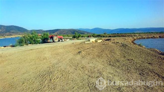 Bafra gölünün su altı zenginliği