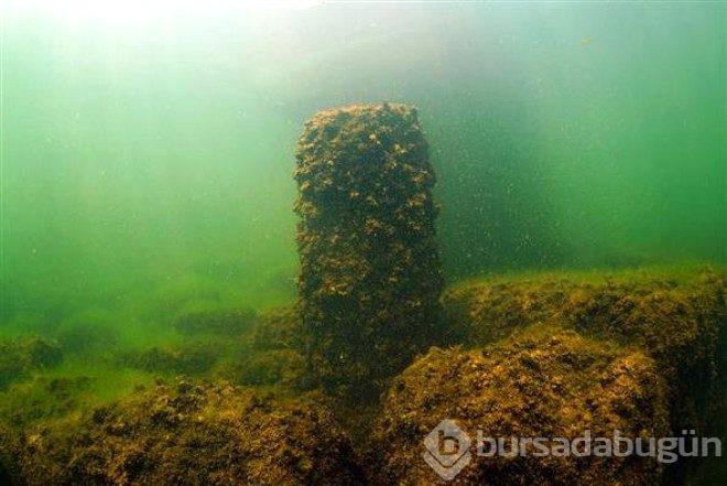 Bafra gölünün su altı zenginliği