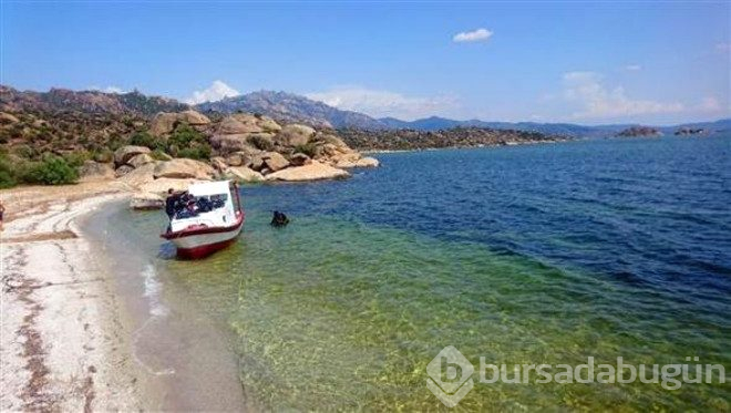 Bafra gölünün su altı zenginliği