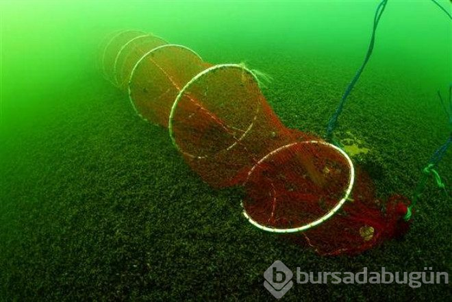 Bafra gölünün su altı zenginliği