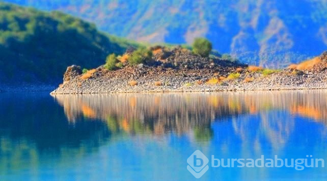 Bitlis'te gezginlerin yeni gözdesi 'Martı Adası'