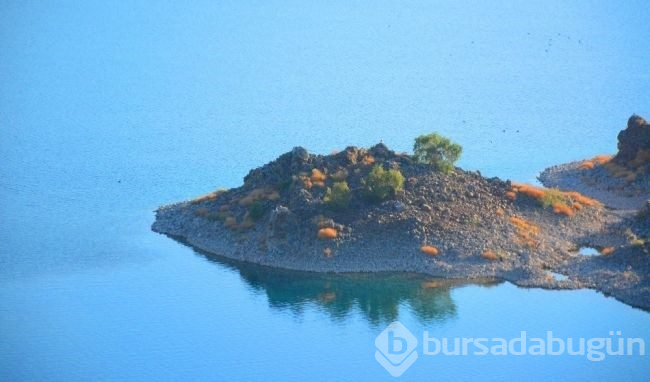 Bitlis'te gezginlerin yeni gözdesi 'Martı Adası'
