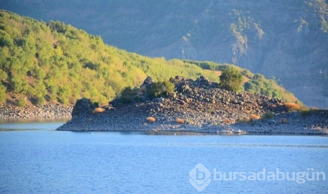 Bitlis'te gezginlerin yeni gözdesi 'Martı Adası'