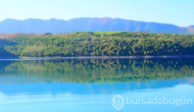 Bitlis'te gezginlerin yeni gözdesi 'Martı Adası'